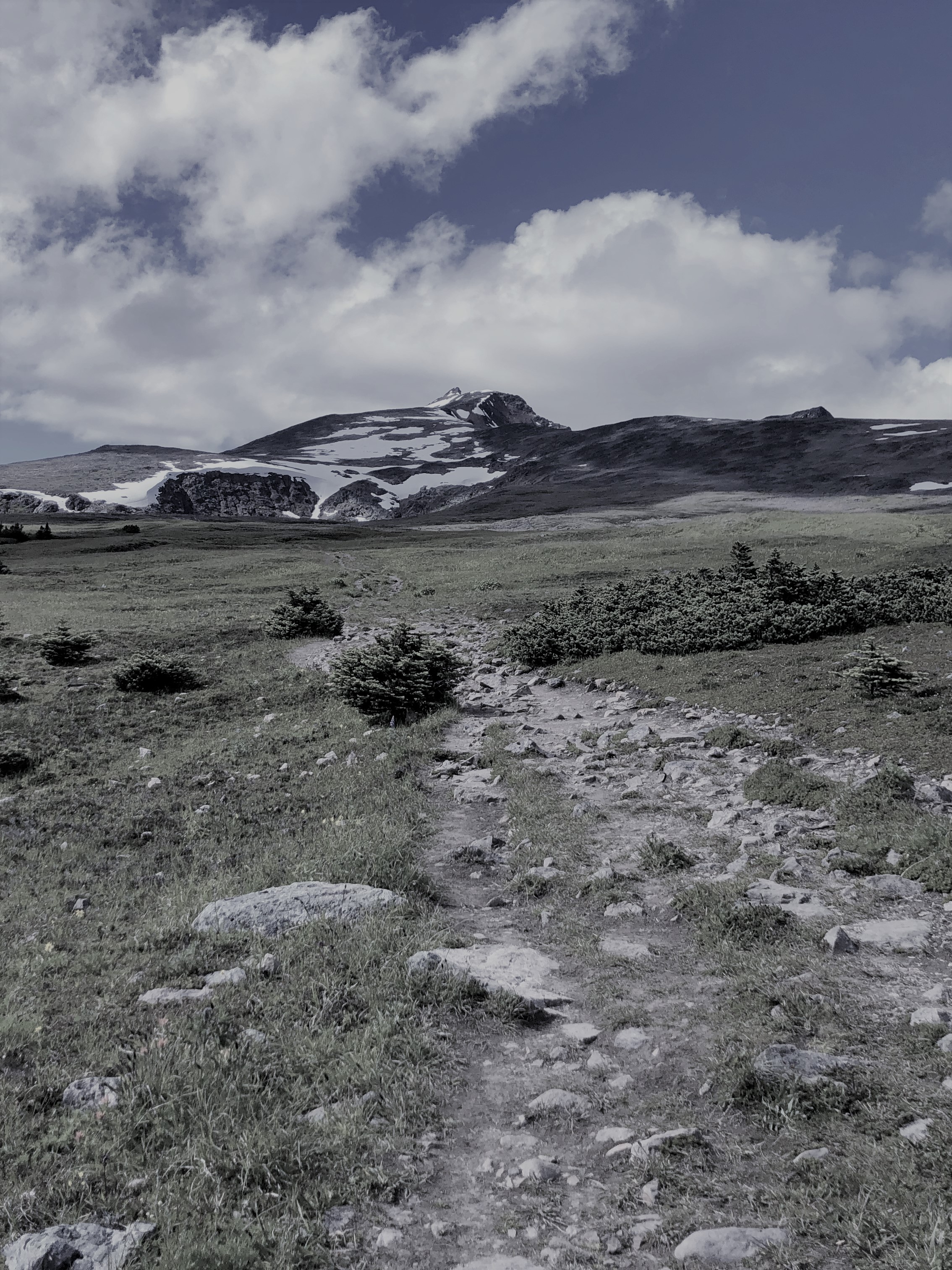 Trail towards the hiull of healing